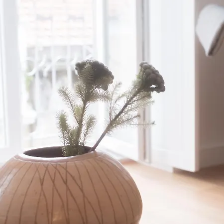 Διαμέρισμα Vale Quiet And Comfortable Apartment